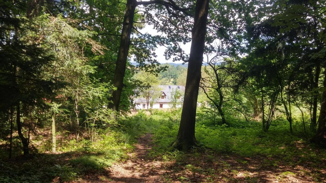 Pokoje Goscinne Art- Dworek Kudowa Zdroj Exterior photo