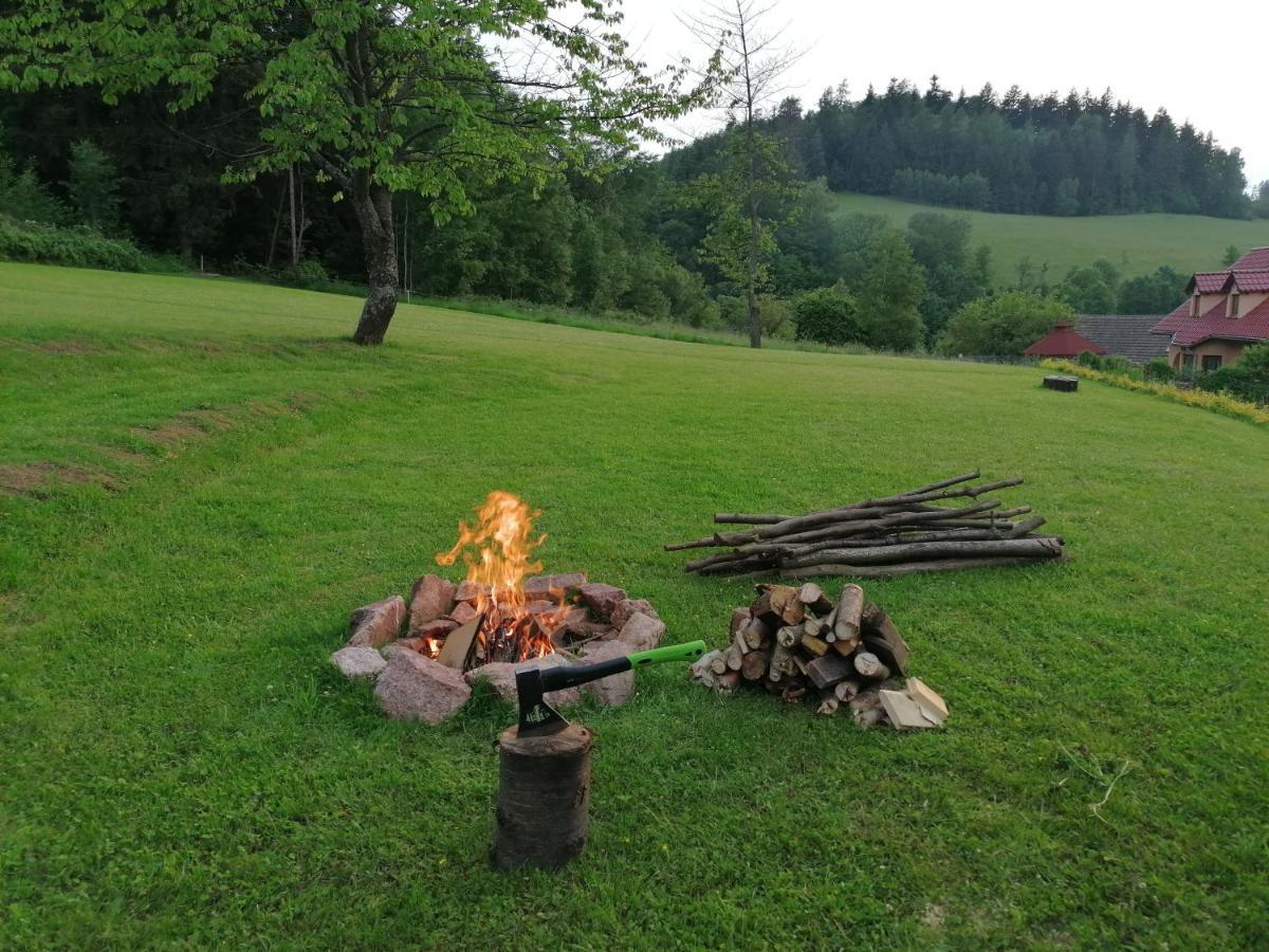 Pokoje Goscinne Art- Dworek Kudowa Zdroj Exterior photo